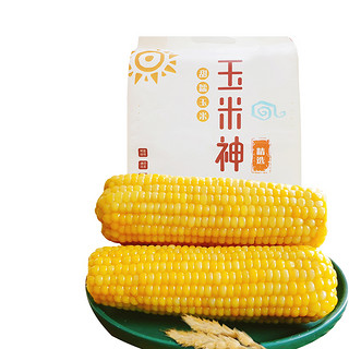 Corn God 玉米神 甜糯玉米