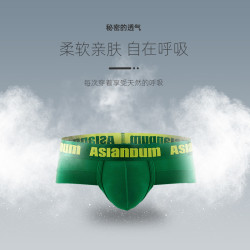 asianBum 竹纤维性感低腰三角底裤男青年透气纯色平角