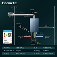 Casarte 卡萨帝 鉴赏家16升燃气热水器天然气水伺服零冷水小尺寸 下置风机 JSQ31-16CWS(12T)U1 一价全包版