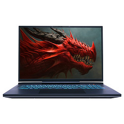 MECHREVO 机械革命 蛟龙17Pro 17英寸游戏本（R9-6900HX、16GB、1TB、RTX3070Ti）