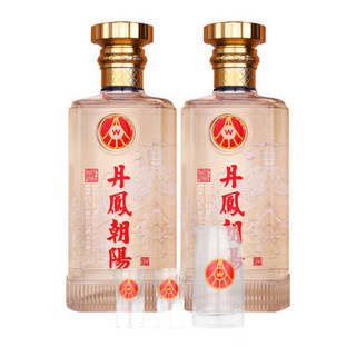 WULIANGYE 五粮液 股份 丹凤朝阳凤景星 浓香型白酒52度500ml*2瓶礼盒