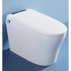 monarch 帝王洁具 乐言 ta030 全自动智能马桶