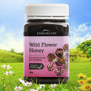 STREAMLAND 新溪岛 野地花蜂蜜 500g