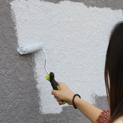 CARPOLY 嘉宝莉 新家园外墙漆 白色 5kg