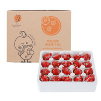 八月十五 熟咸鸭蛋 20枚 65g