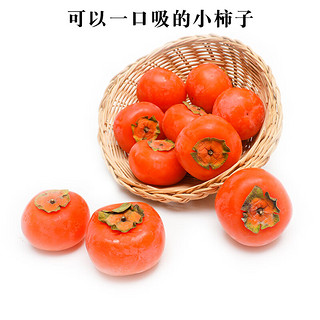 火晶小柿子 新鲜软柿子软甜柿子新鲜当季水果 （30枚装）放软再食用
