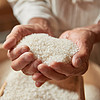 农夫山泉 plus会员：农夫山泉 东北香米 新鲜大米 净含量2.5斤