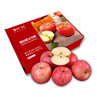 京觅 京鲜生山东 栖霞红富士苹果精品12粒 单果190g-240g  水果礼盒