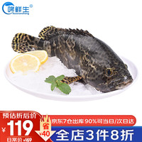 哆鲜生 深海活冻石斑鱼 野外生长海捕鲜活冷冻东星斑 净重750-900g 1条装