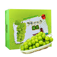 菲农 阳光玫瑰无籽青提 2-3串 2.5kg 礼盒装