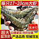  寰球渔市 海捕大虾白虾整盒4斤17-20厘米盐冻野生超大虾　