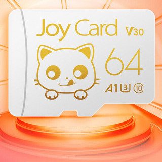 banq&JOY Card金卡 16GB TF（MicroSD）存储卡 U1 V10 C10 读速90MB/s 坚固耐用 行车记录仪&监控摄像内存卡