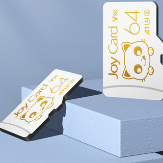 BanQ JOY Card 金卡 存储卡