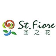 St.fiore/圣之花