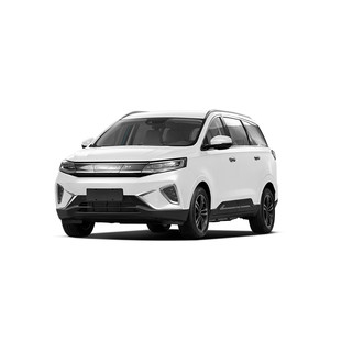 大运汽车 远志M1 22款 改款 550km 标准版 6座