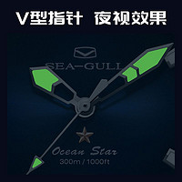 SEA-GULL 海鸥 表潜水商务自动机械男表1210海洋之星Pro