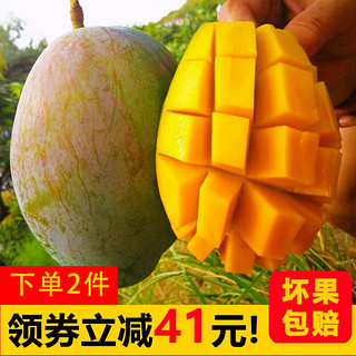 芬果时光 新鲜国产四川凯特芒果大果 热带新鲜水果 4.5-5斤装