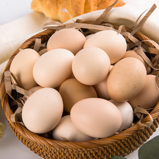 RT-Mart 大润发 盒装鲜鸡蛋20枚/盒（约800g）