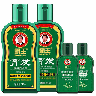 BAWANG 霸王 洗发液套装 (育发防脱380ml*2+防脱控油去屑型80ml*2)