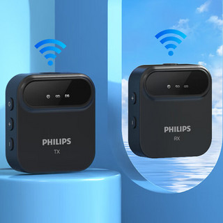 PHILIPS 飞利浦 DLM3538C 无线麦克风一拖二 黑色