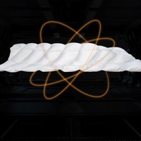 SIDANDA 诗丹娜 科学睡眠系列 NASA联名 白鹅绒茧型冬被 150*200cm