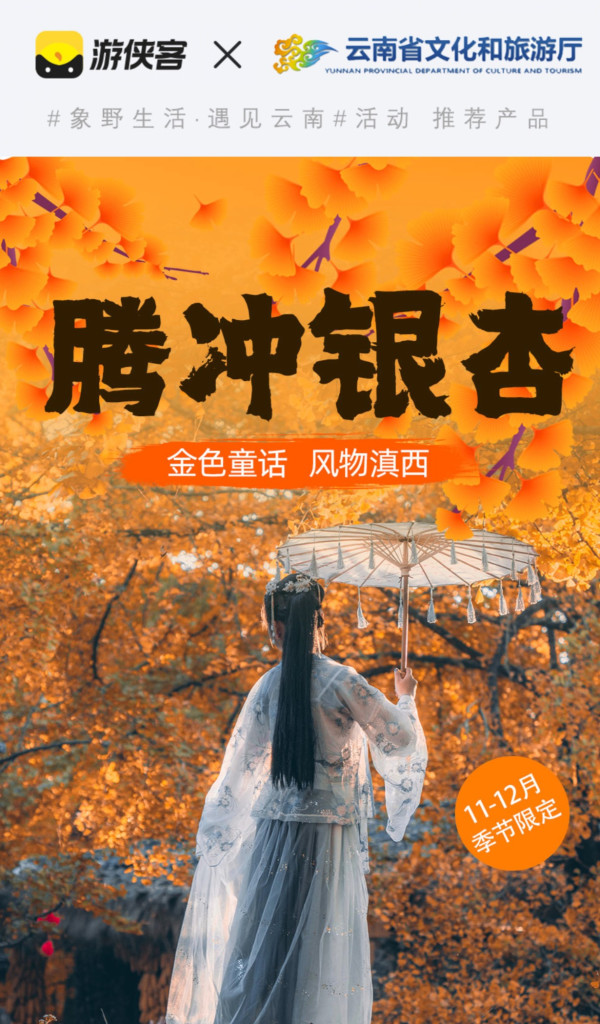 11~12月限定!在最美的银杏季深度纯玩腾冲6天5晚 直接住在景区内