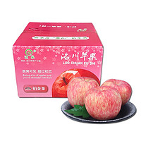PLUS会员：涵果 正宗洛川苹果  80-85# 大果带箱10斤