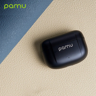 pamu Z1 Pro 入耳式真无线动圈降噪蓝牙耳机 陨石黑