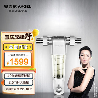 ANGEL 安吉尔 J2615-GWG-2500 前置过滤器