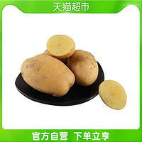 RT-Mart 大润发 土豆 1kg/份