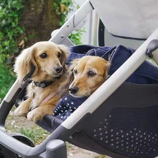 UPPAbaby Vista V2 婴儿双向推车