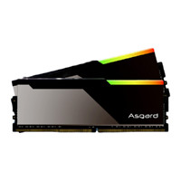 Asgard 阿斯加特 博拉琪系列 DDR4 3600MHz RGB 台式机内存 灯条 黑色 32GB 16GBx2