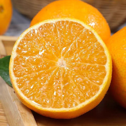 禾语鲜橙子_he yu xian 禾语鲜 四川爱媛38号果冻橙 5斤装【单果约65