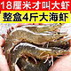 美萍盐冻虾整盒4斤18至20厘米青岛特大虾海捕鲜活速冻