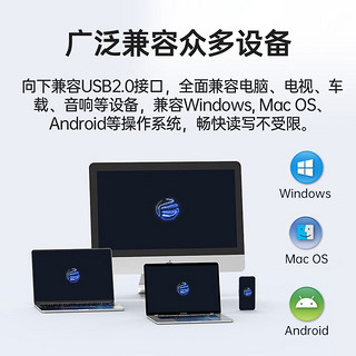 奥睿科（ORICO） U盘USB3.2/Type-C大容量笔记本电脑固态SSD优盘 铝合金/Type-C3.2接口