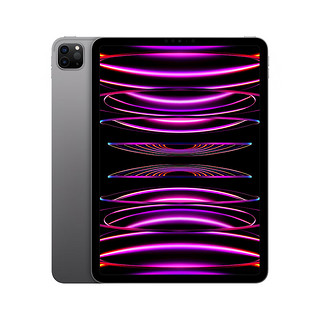 iPad Pro 2022款 11英寸平板电脑 128GB WLAN版