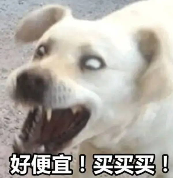 配饰腕表 双11预售汇总来袭~此时不冲更待何时!