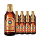 青岛啤酒 青岛小瓶青岛啤酒12瓶装小金棕啤酒
