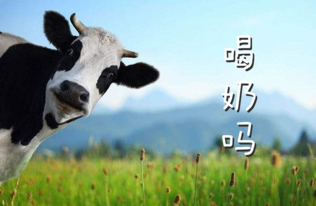 周知一品:天天喝牛奶,牛奶的发展历史了解一下?