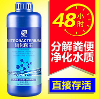 疯狂石头 硝化细菌硝化菌养鱼用品鱼缸净水剂净化剂活菌水质稳定剂