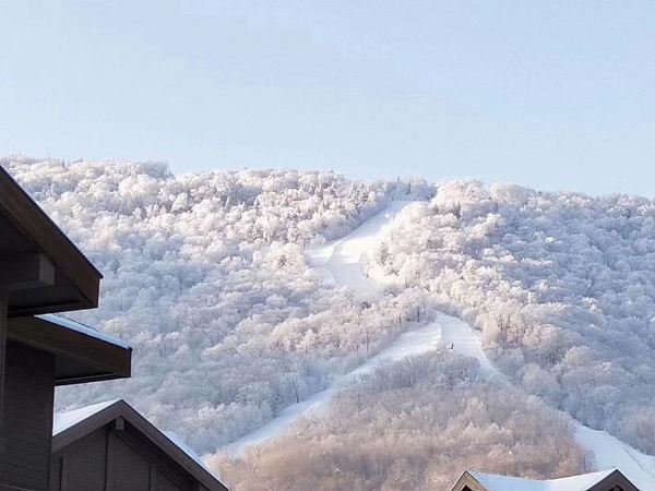 提前囤！住进滑雪场！吉林北大湖假日酒店 假日高级大/双床房1晚套餐（含双早+双人滑雪票）