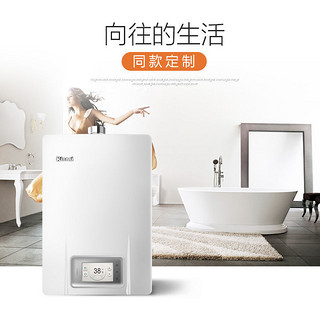 Rinnai 林内 76F 燃气热水器 13升