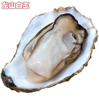 LONGSHAN OYSTERS 龙山白玉 山东海阳鲜活生蚝 净重5kg 5-6两/只 特大号 空运专享 牡蛎 烧烤食材