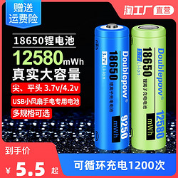 Doublepow 倍量 18650锂电池3.7v强光手电筒4.2v唱戏机小风扇电蚊拍可充电器