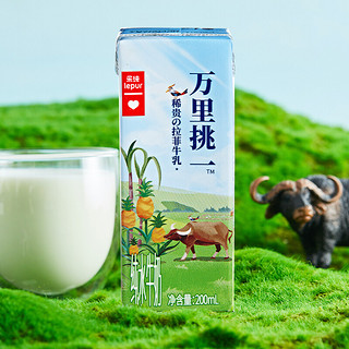 lepur 乐纯 万里挑一 纯水牛奶 200ml*24盒 礼盒装