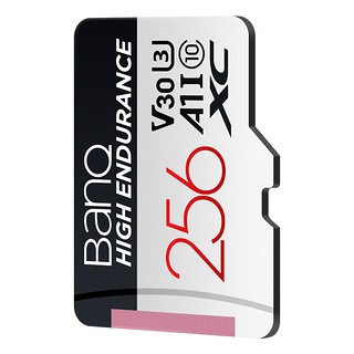 BanQ HIGH ENDURANCE V30 Micro-SD存储卡 256GB（UHS-I、V30、U3、A1）