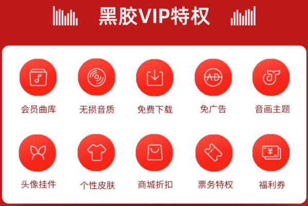 NetEase CloudMusic 网易云音乐 VIP黑胶会员12个月年卡