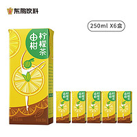 东鹏 饮料油柑柠檬茶250ml*6盒装
