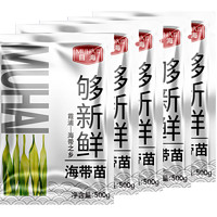 Muhai 目海 头水鲜嫩海带苗 3包共1500g