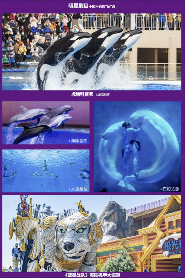 除了神奇的海洋动物,还有12米巨型奥特曼!上海海昌海洋公园度假酒店 高级/家庭房1晚套餐(可选双人/家庭套餐)